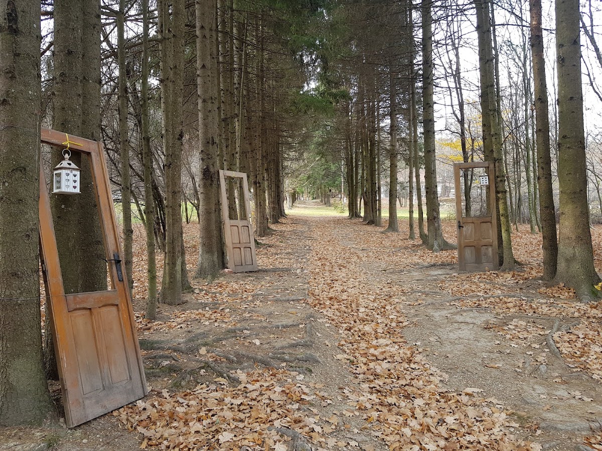 Cabana Poieni - foto 4