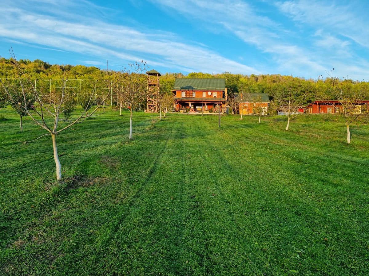 Cabana Valea Căprioarei - foto 5