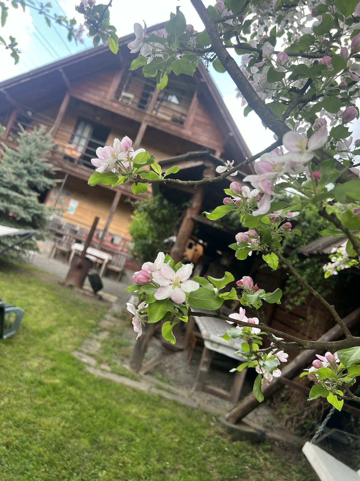 Cabana Valea Neagră 1 y 2
