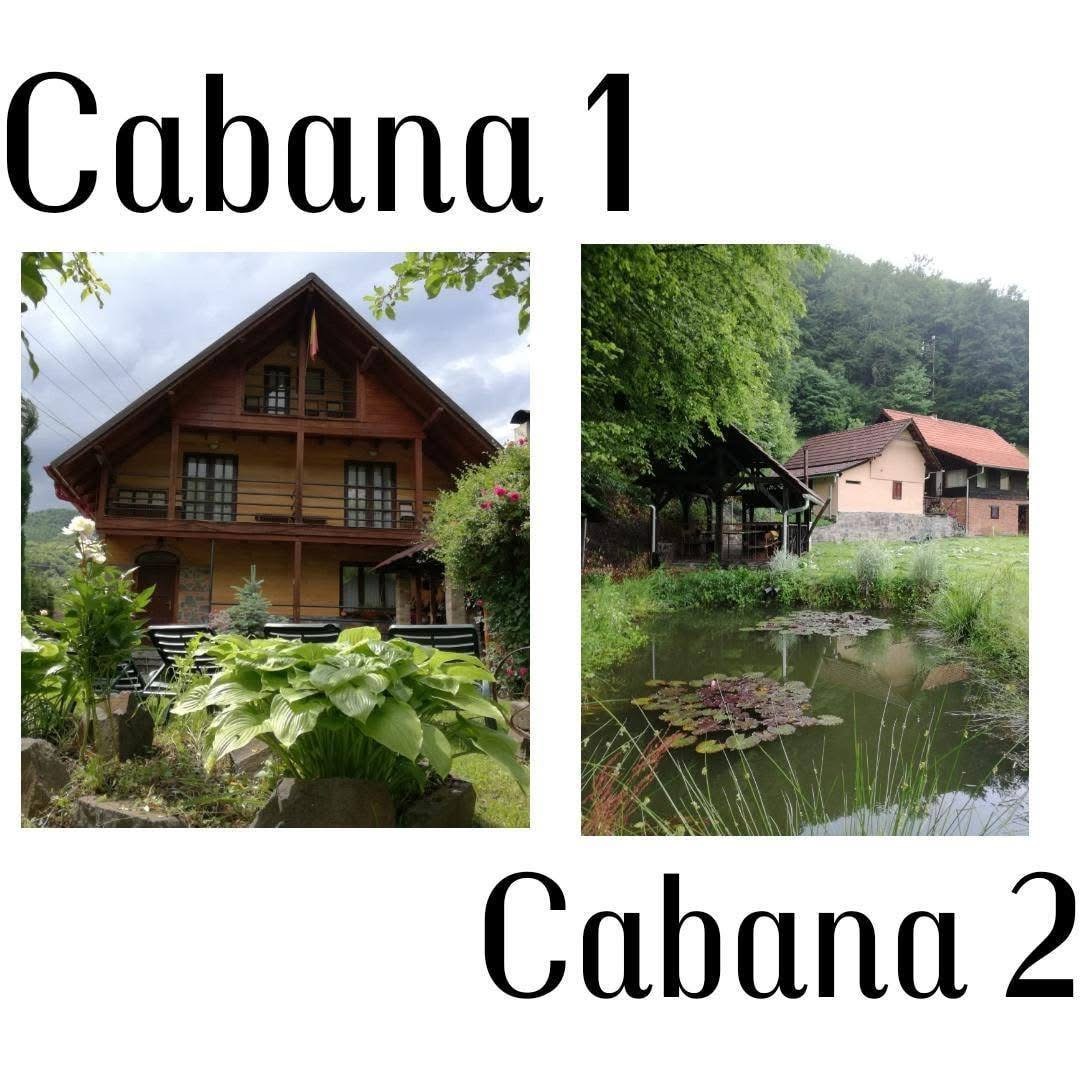 Cabana Valea Neagră 1 y 2