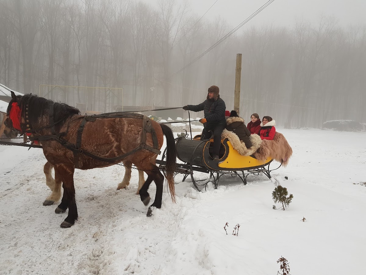 Cabana Vanatoreasca Motca - foto 4