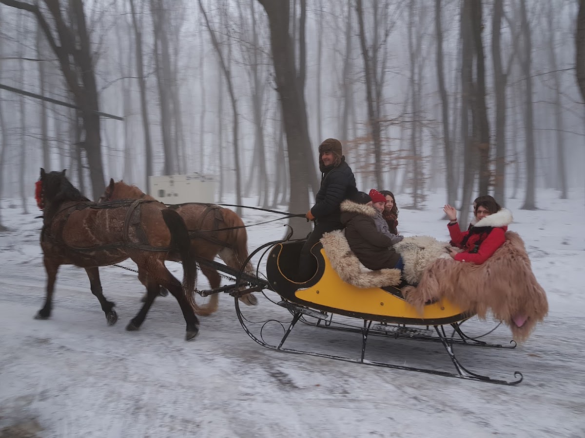 Cabana Vanatoreasca Motca - foto 5