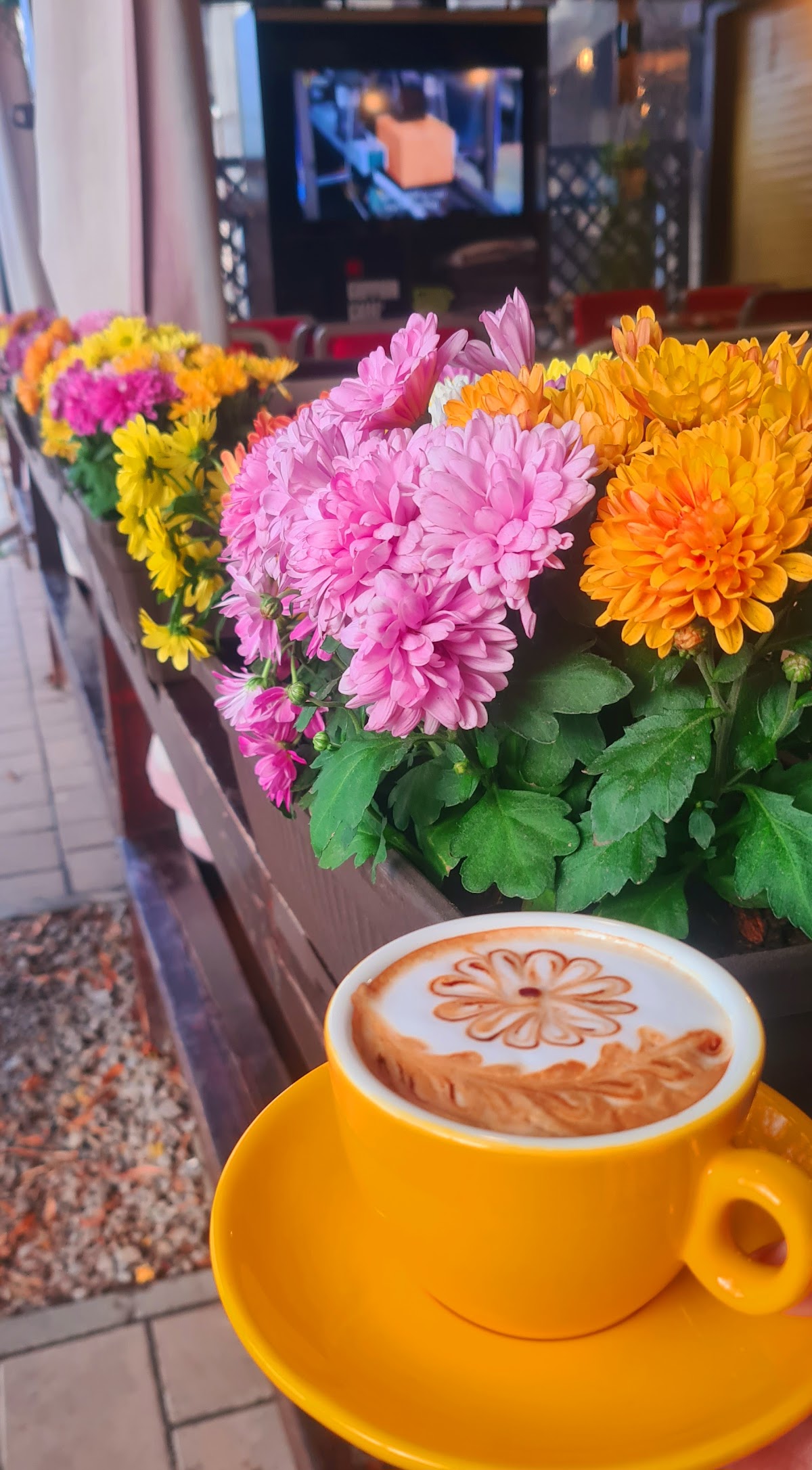 CAFE NOIR - foto 2