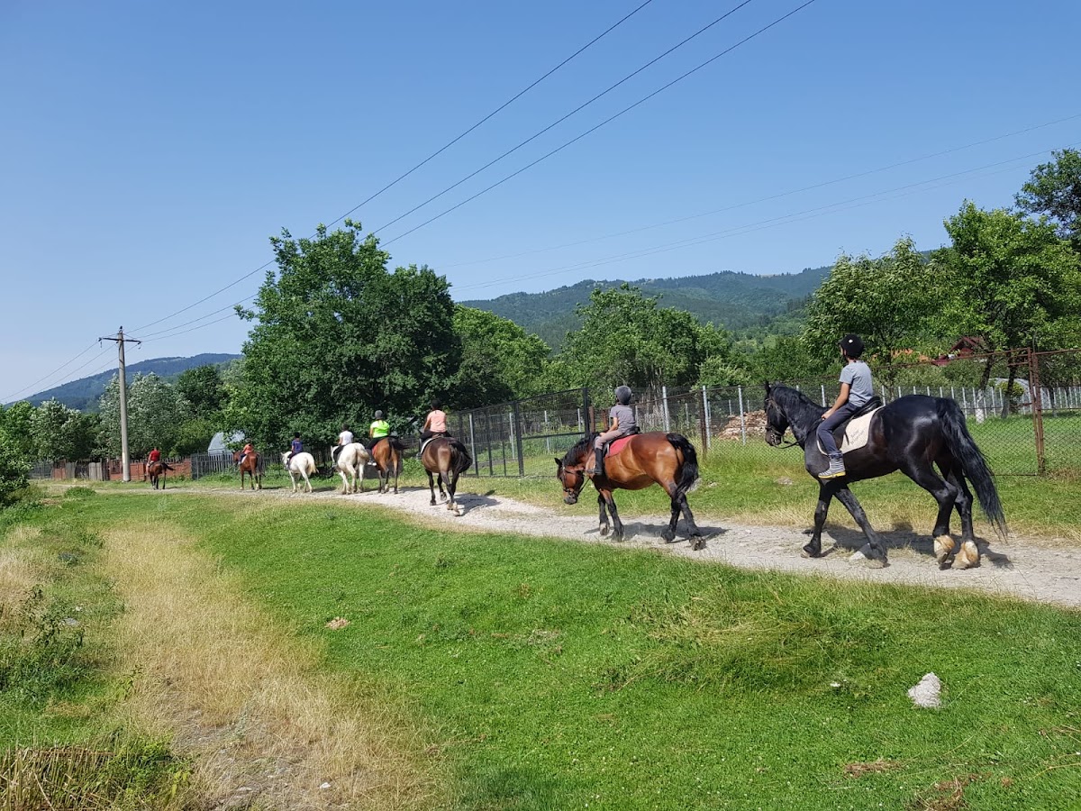 Caii Munților - aventură în munți! - foto 4