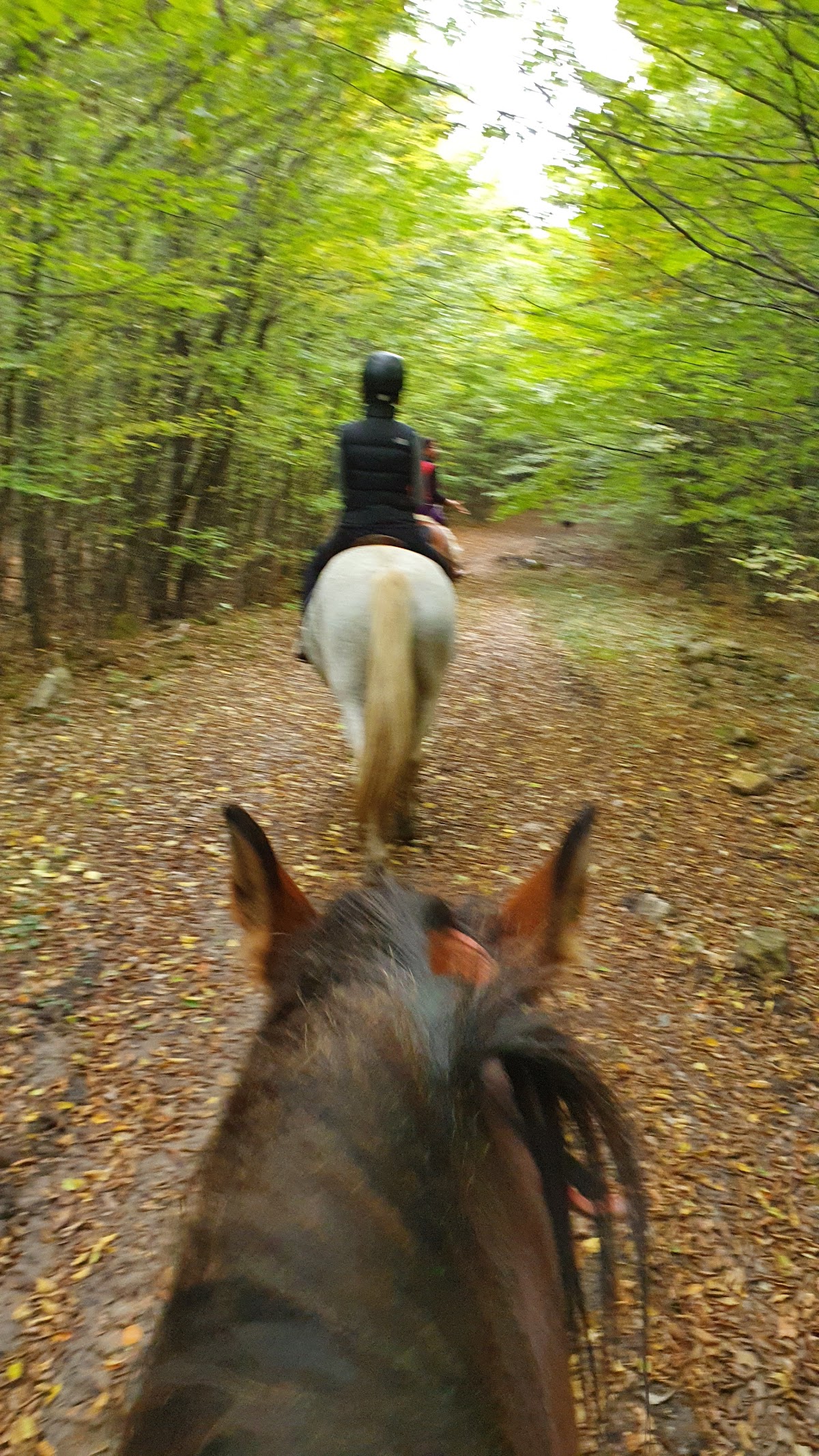 Horse Riding at Stana - foto 2