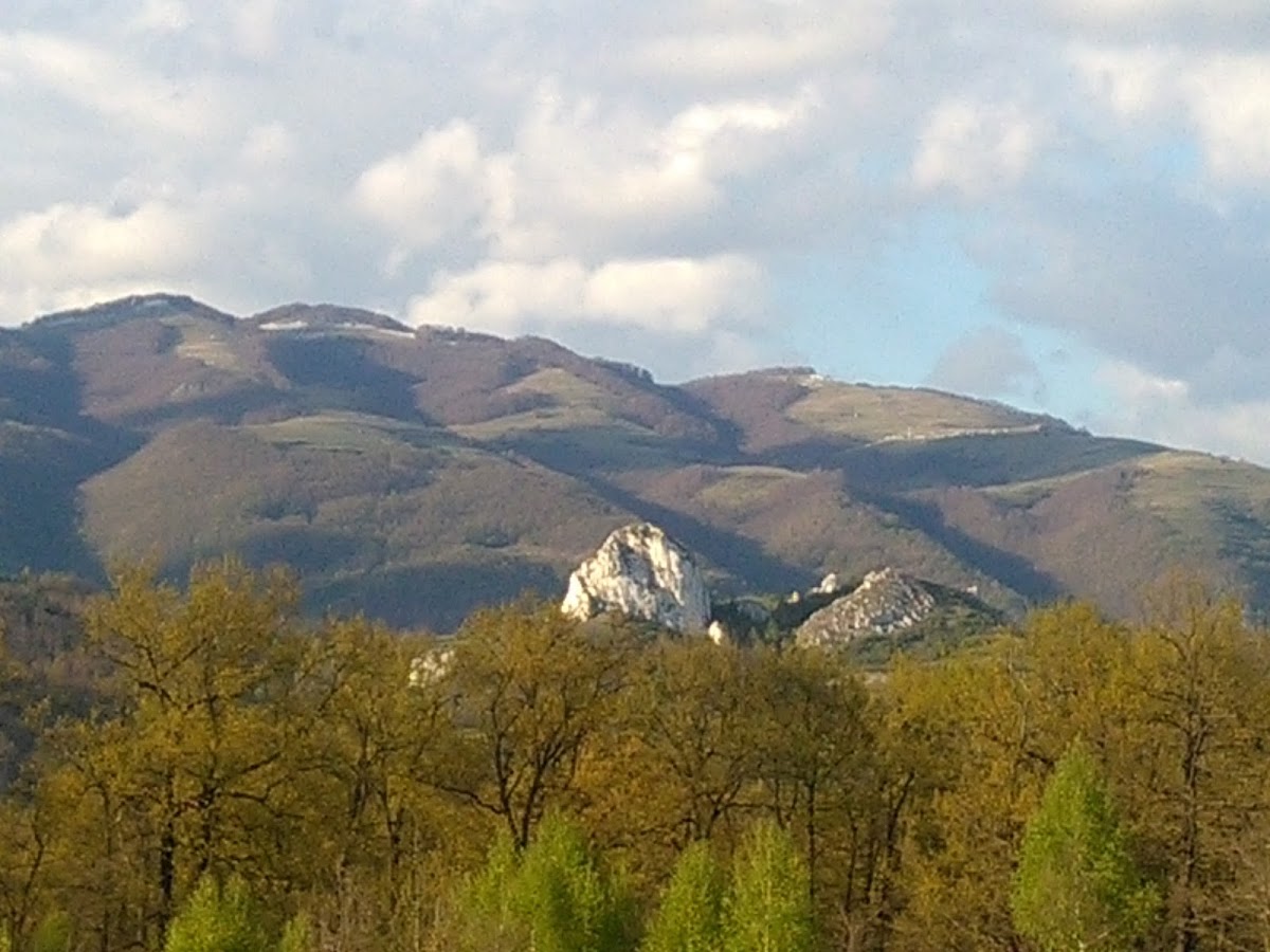 Calcarele de la Valea Mică - foto 3