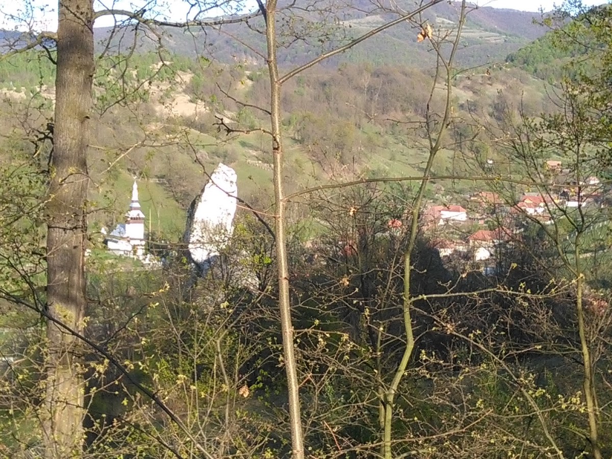 Calcarele de la Valea Mică - foto 5