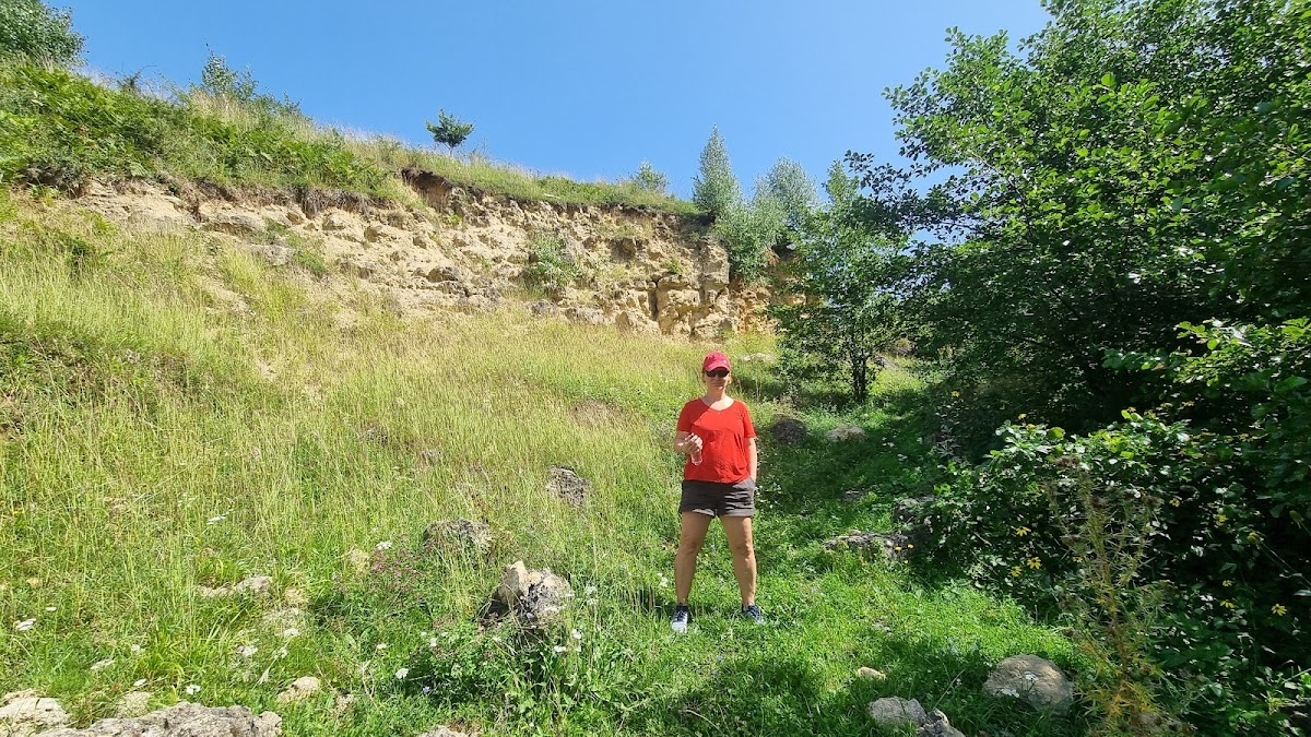 Calcarele eocene de la Turnu Roșu - foto 2