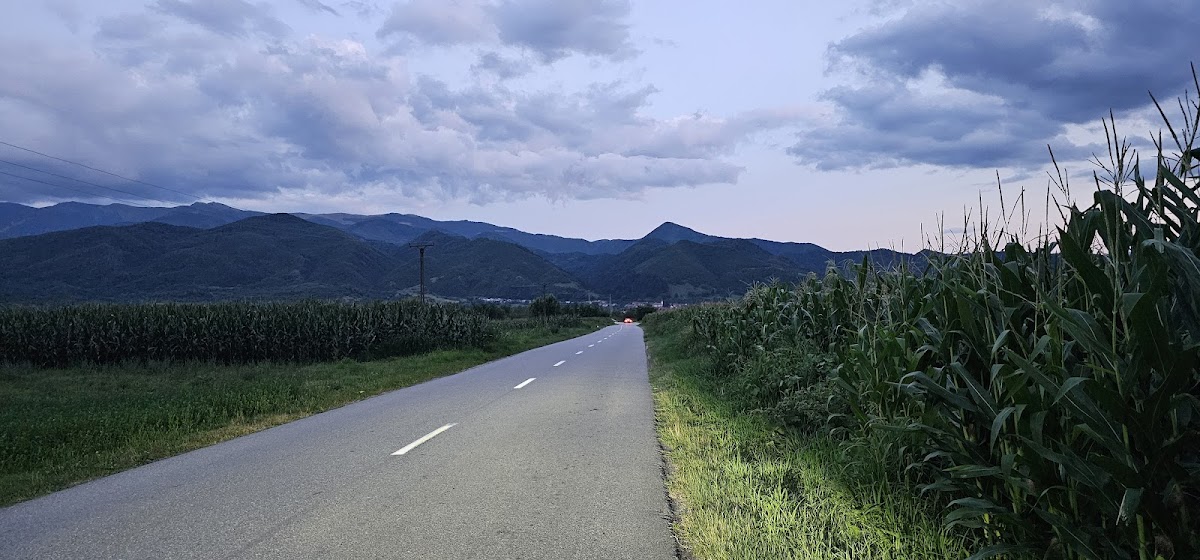 Calcarele eocene de la Turnu Roșu - foto 4