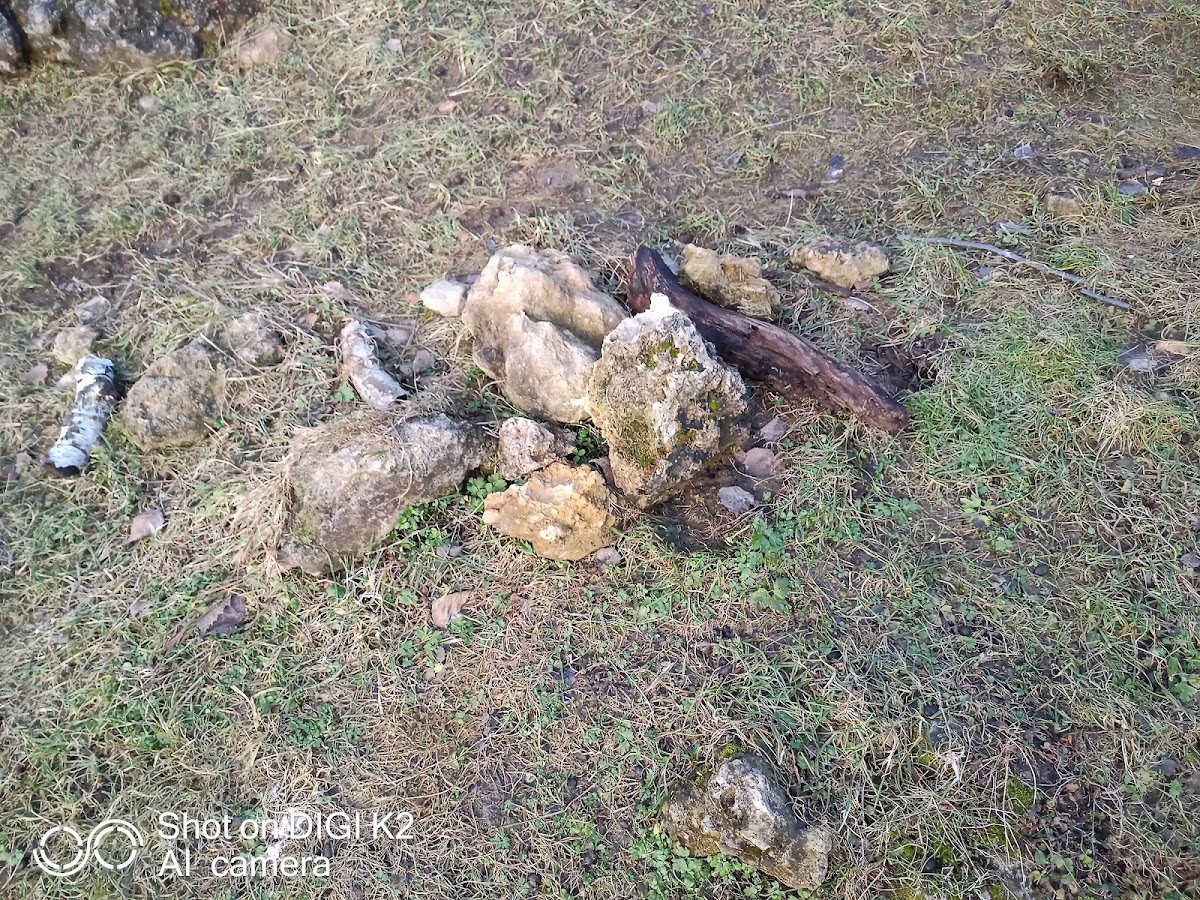 Calcarele eocene de la Turnu Roșu - foto 5