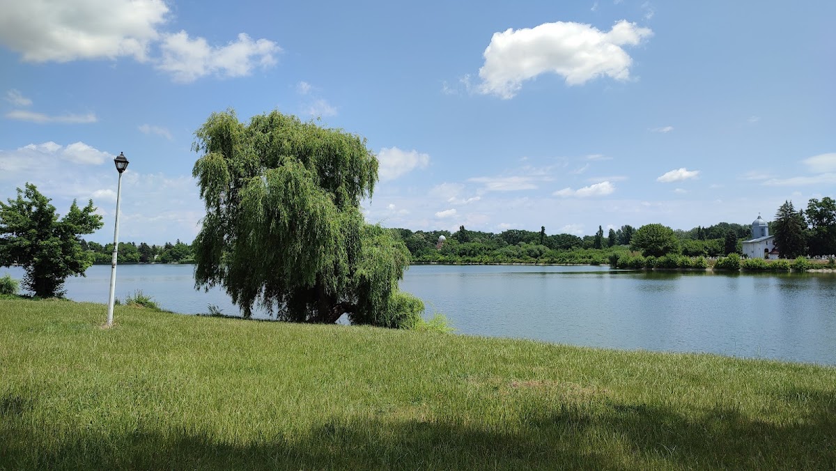 Calul Bălan SA - foto 3