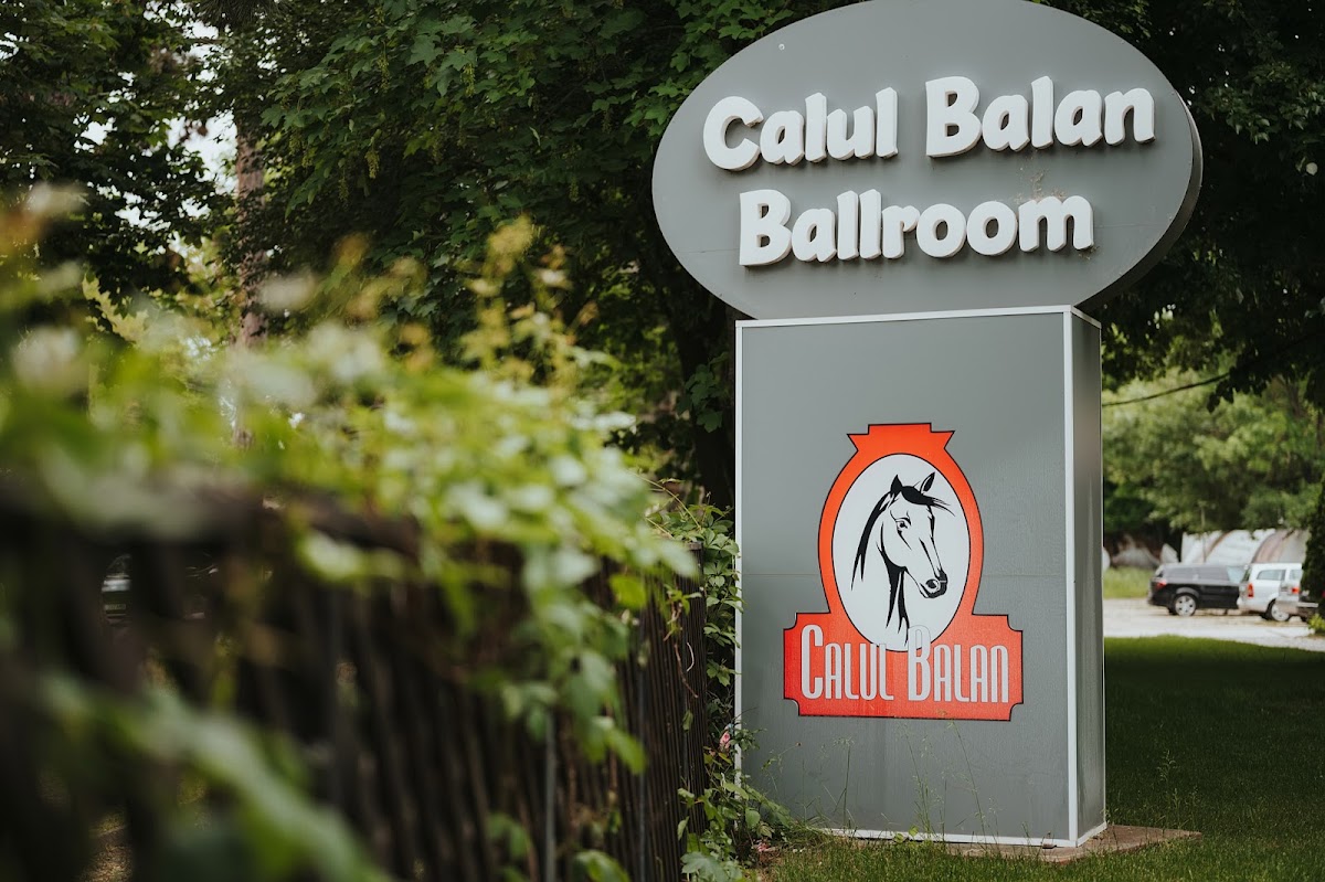 Calul Bălan SA - foto 5