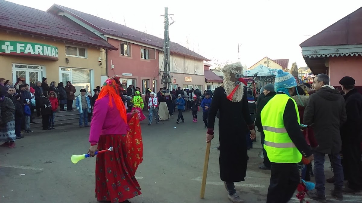 Camin Cultural Paunesti - foto 4