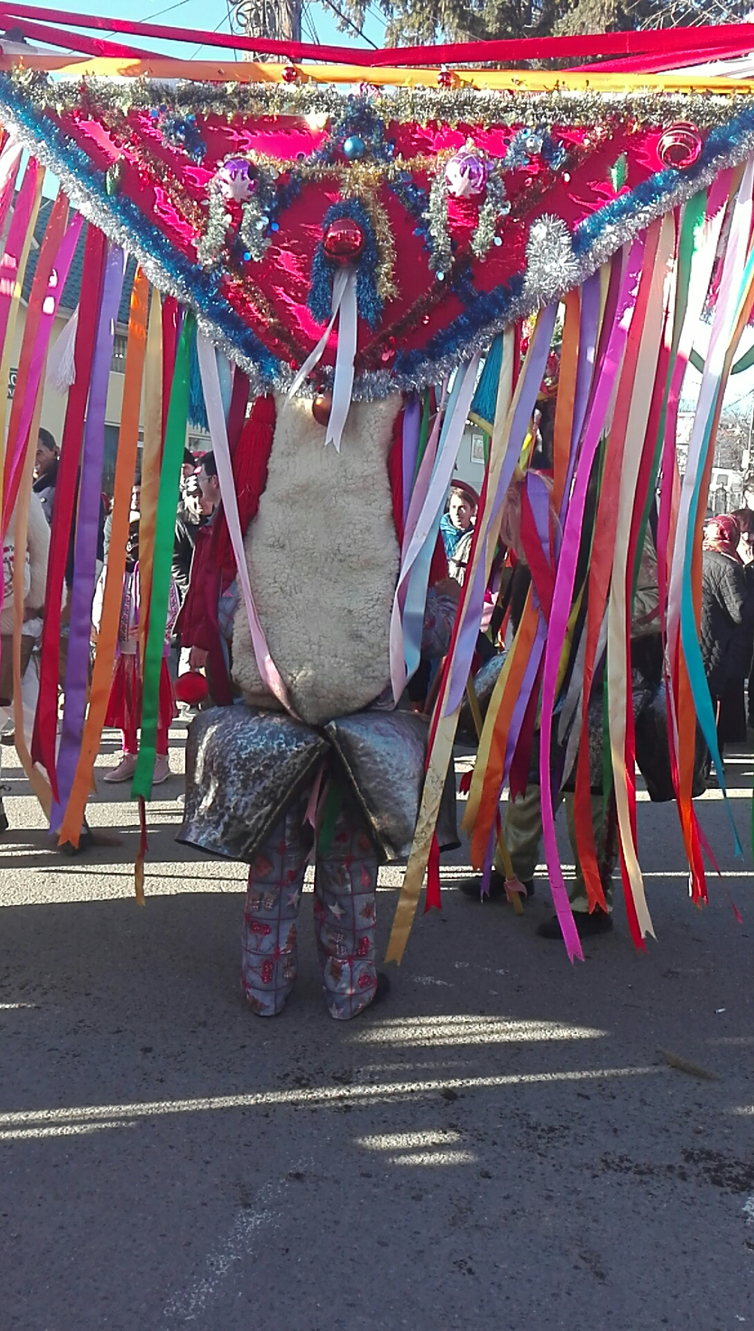 Camin Cultural Paunesti - foto 5