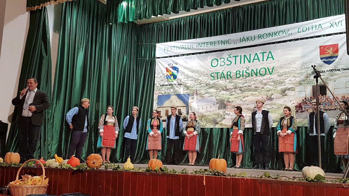 Căminul Cultural Dudeștii Vechi - foto 3