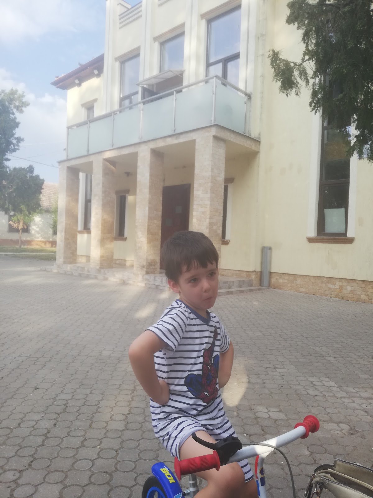 Căminul Cultural Dudeștii Vechi - foto 5