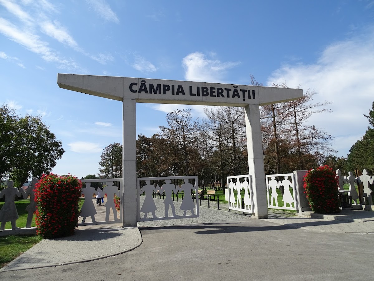 Câmpia Libertății - foto 2