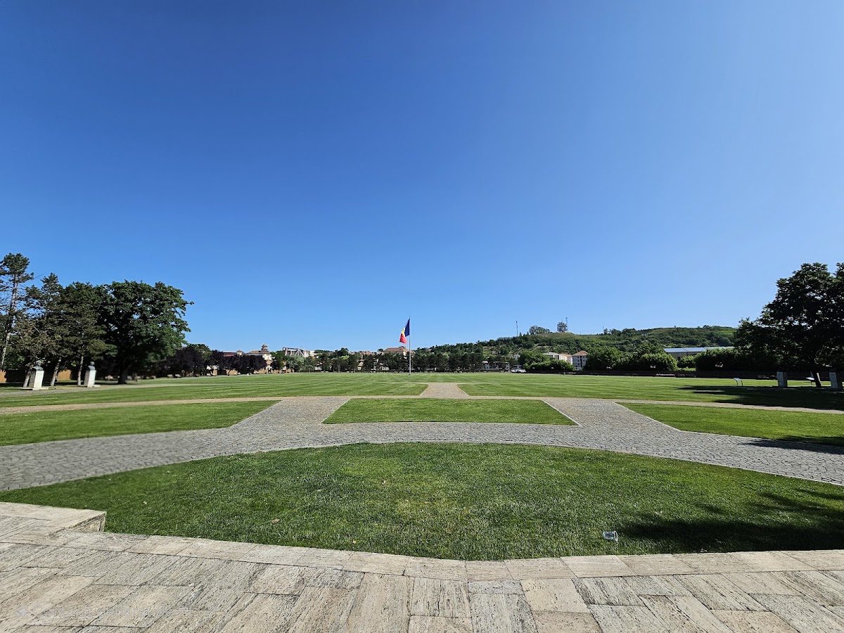 Câmpia Libertății - foto 3