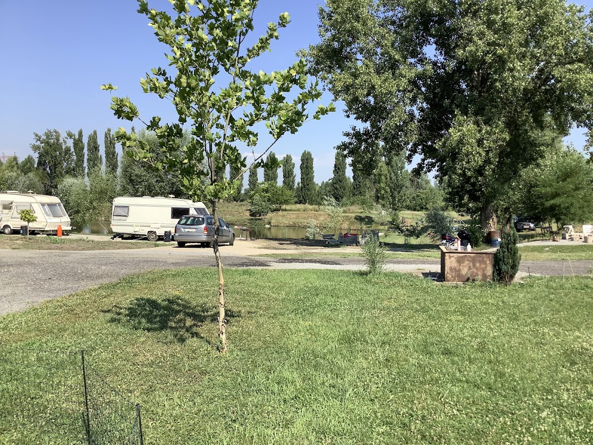 Camping București Belvedere - foto 4