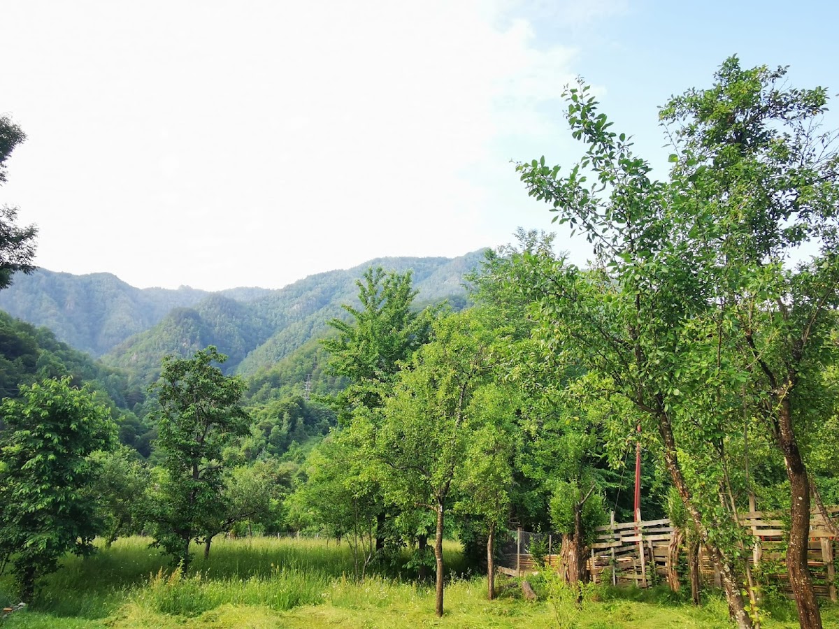 Camping “Grădina cu flori” - foto 4