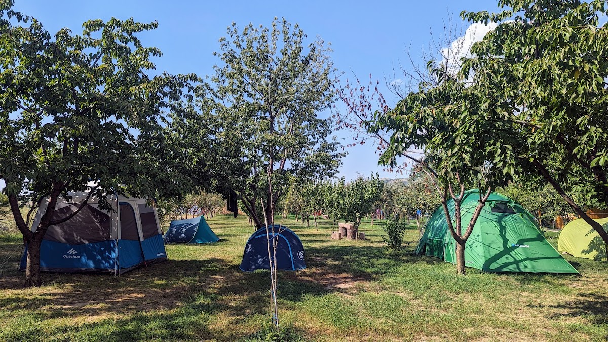 Camping Turtle Camp - foto 4