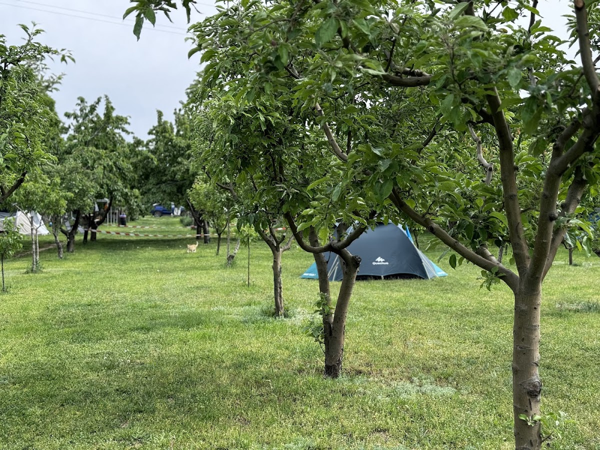 Camping Turtle Camp - foto 5