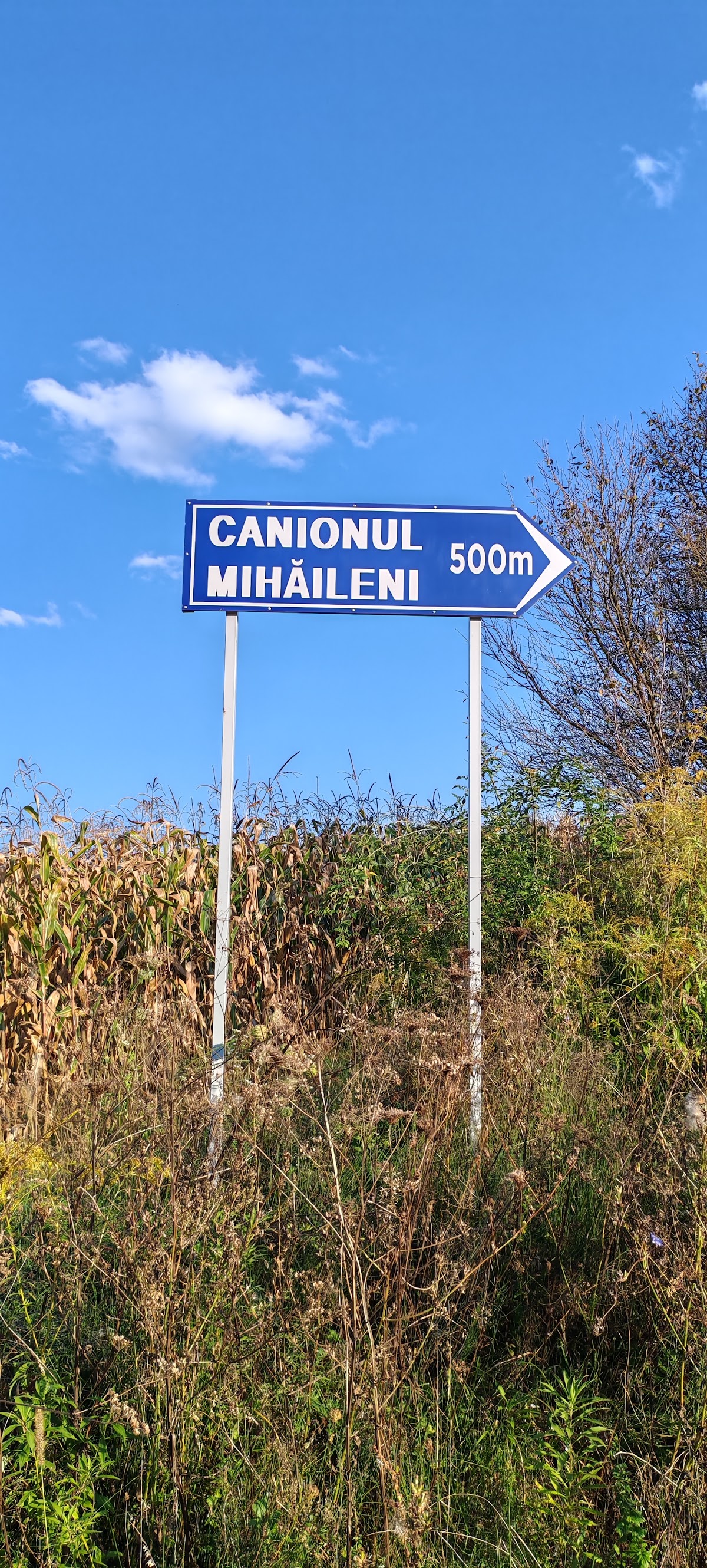 Canionul Mihăileni - foto 2