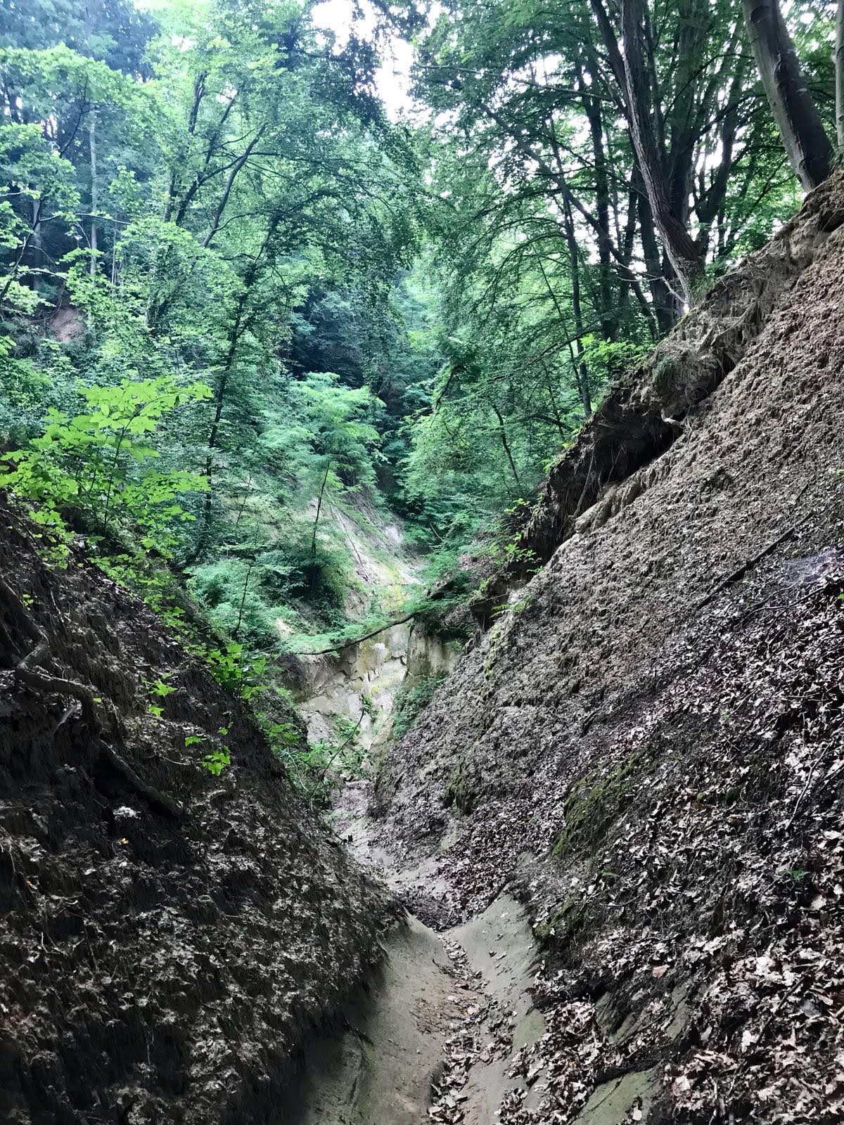 Canionul Mihăileni - foto 3