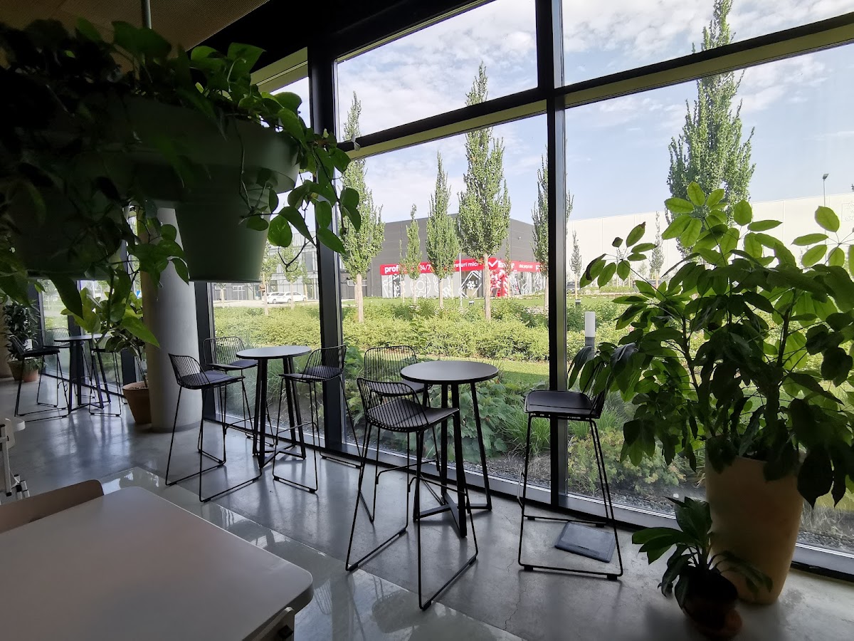 Cantina Gustbun - foto 5