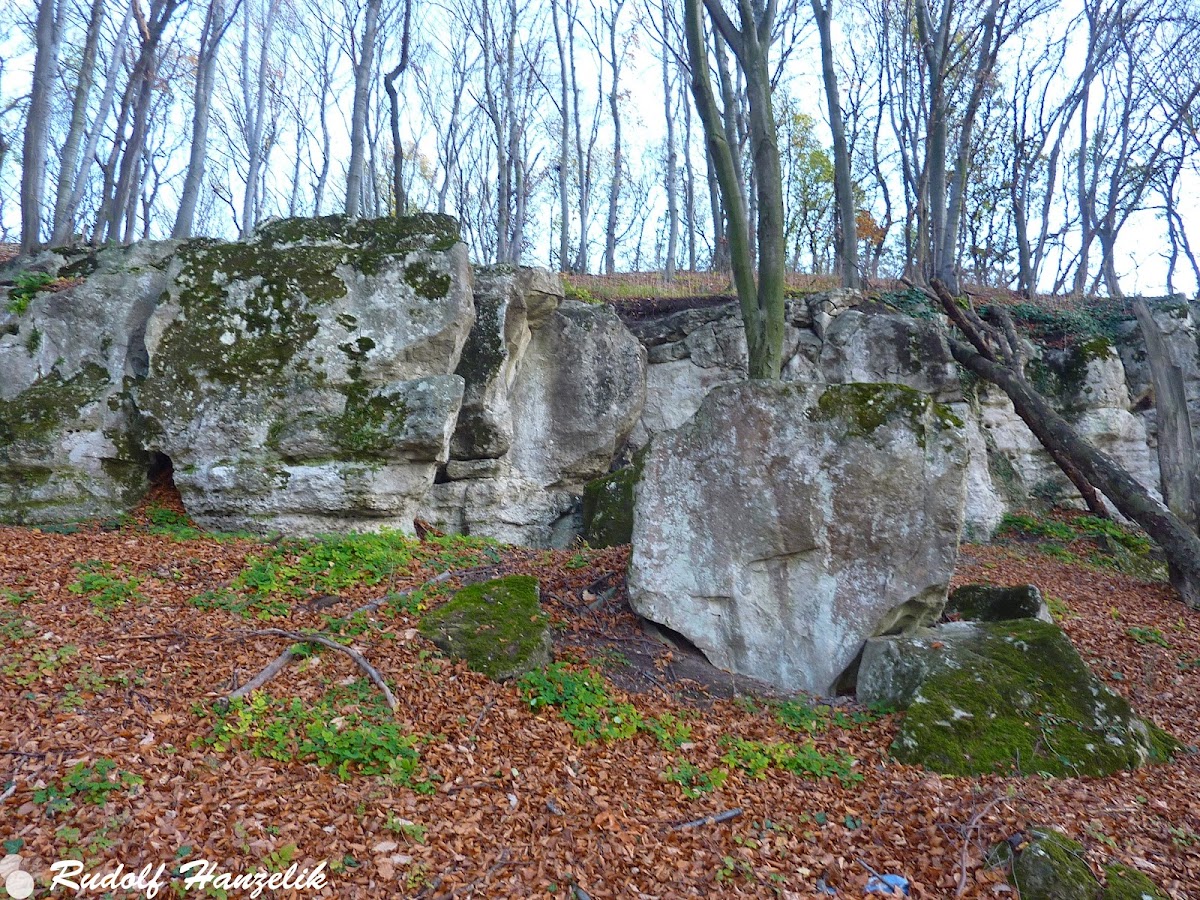 Cariera Dacică Măgura Călanului - foto 5
