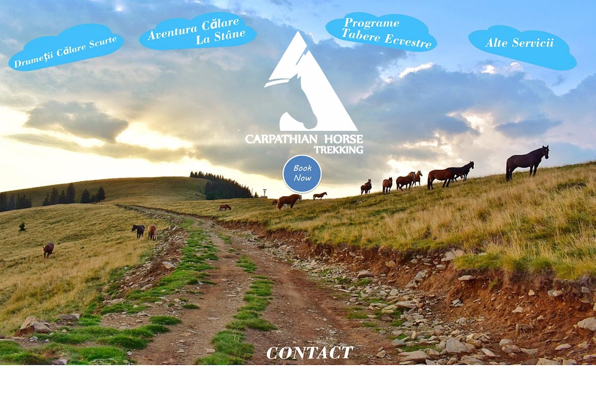 Carpathian Horse Trekking
