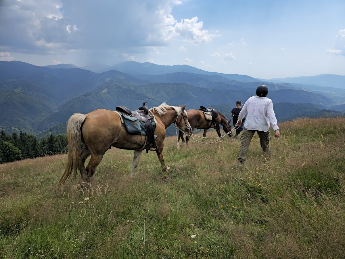 Carpathian Horse Trekking - foto 2