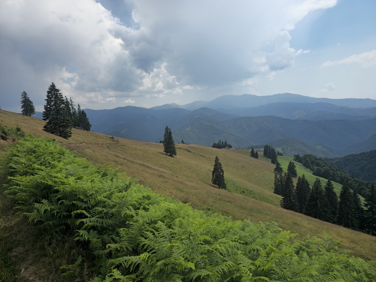 Carpathian Horse Trekking - foto 5