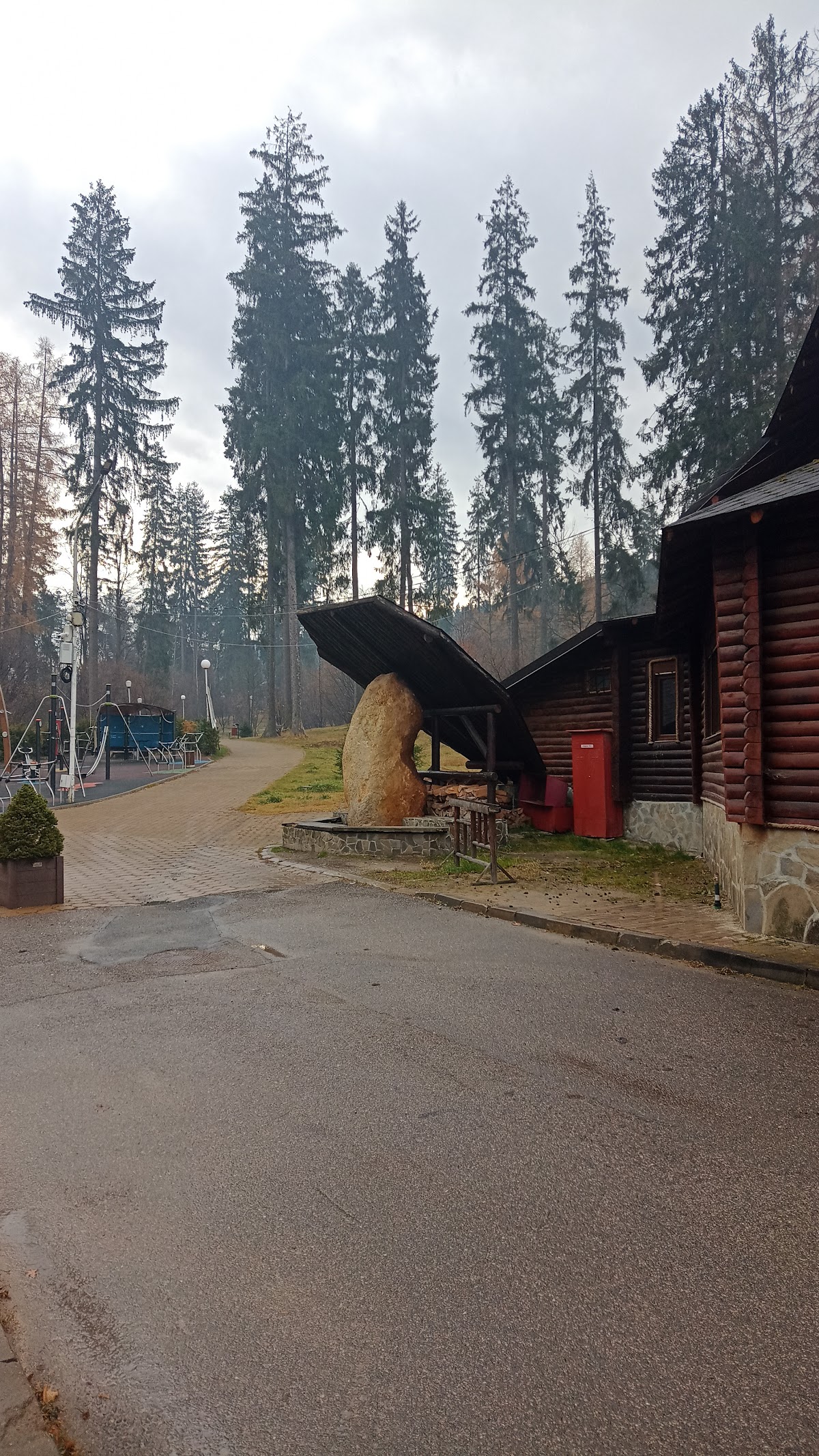 Cartoful din Vatra Dornei - foto 4