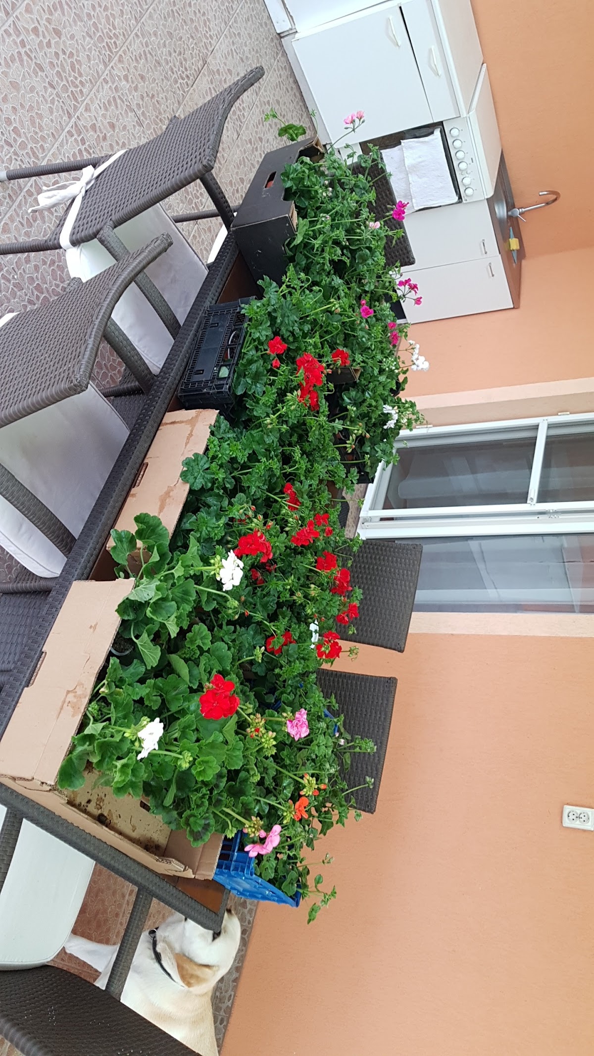 Casa Agro - foto 2