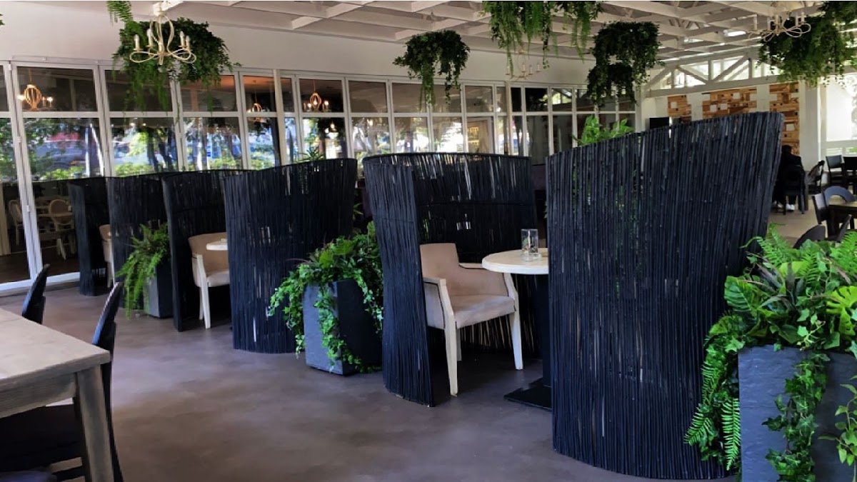 Casa Albă Adjud - foto 1