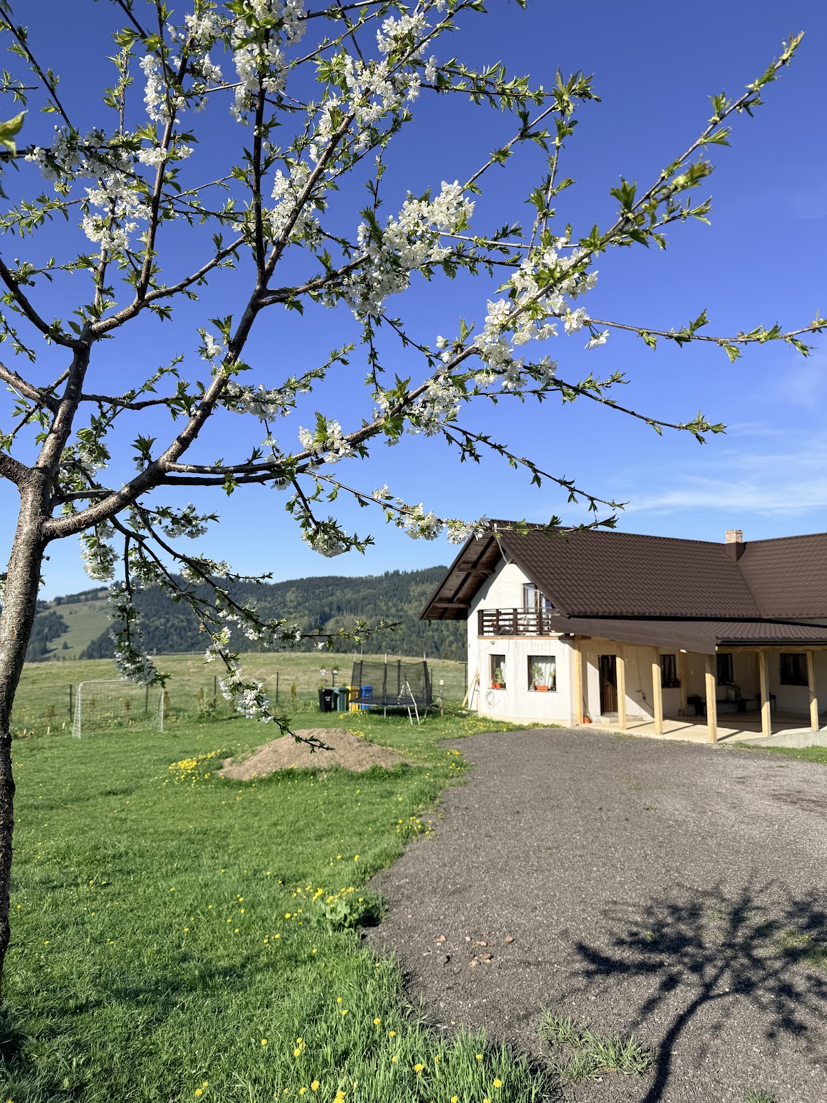 Casa Albă Ciumârna