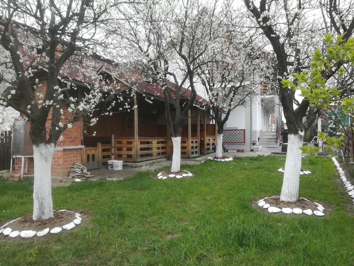 Casa Alina