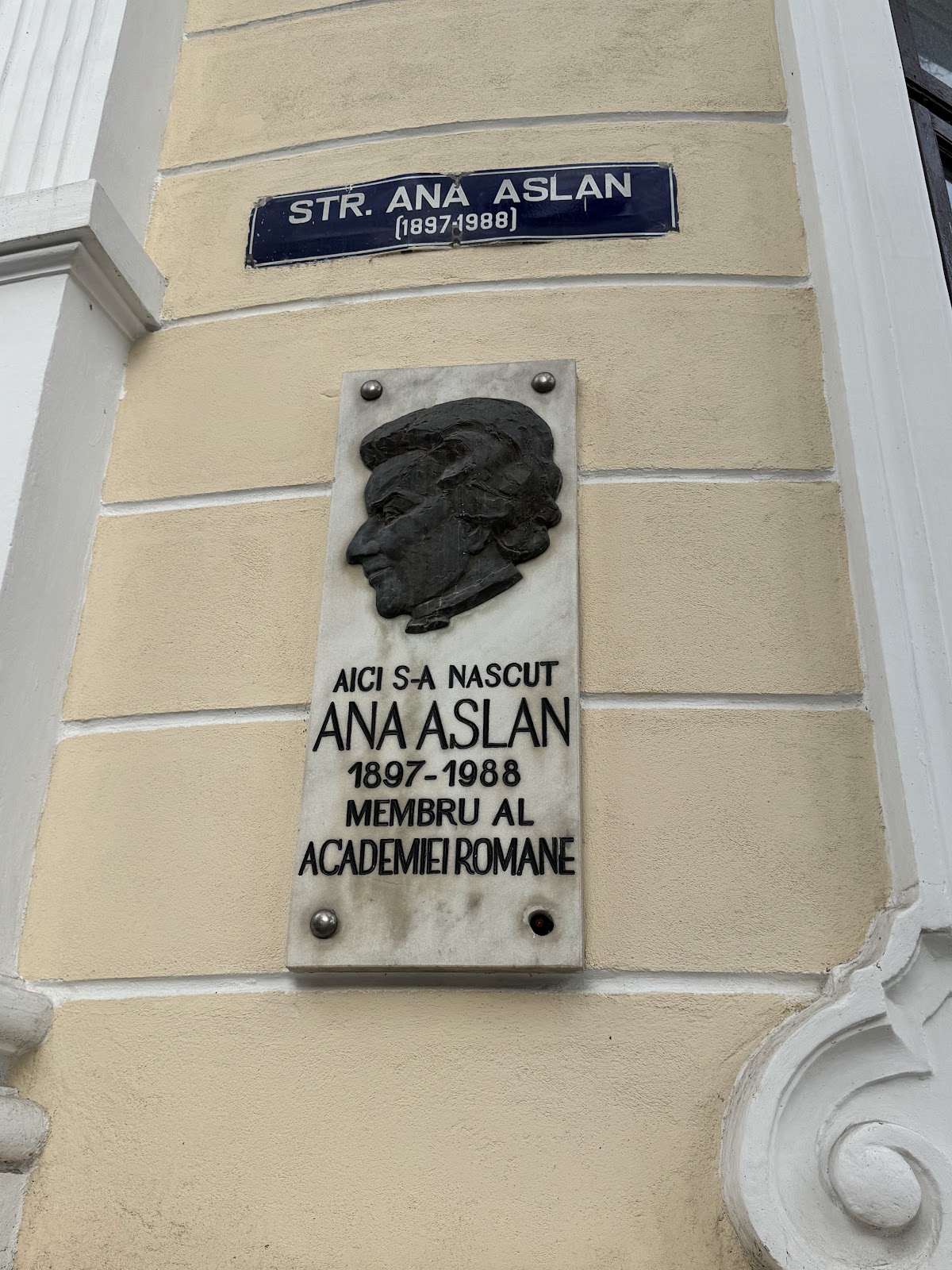 Casa Ana Aslan - foto 4