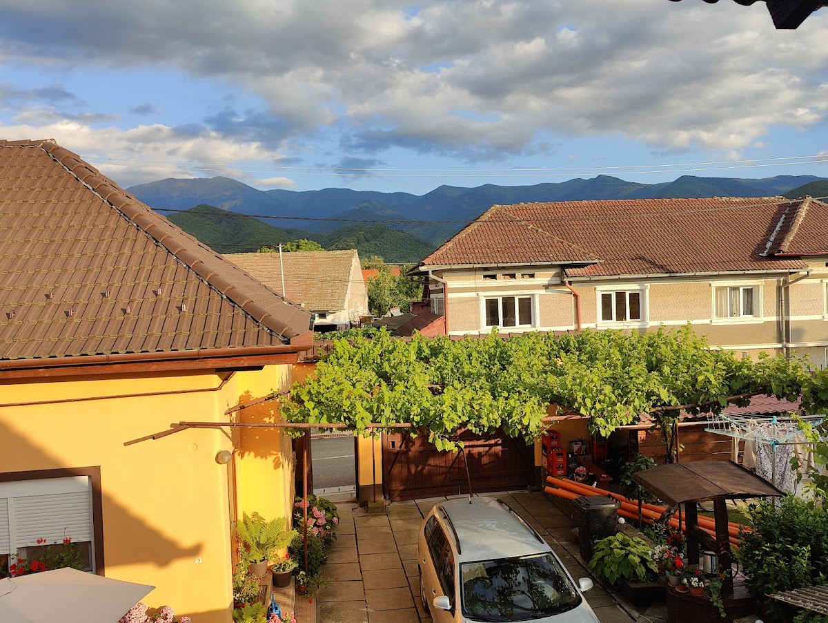 Casa Ardelenească - foto 4