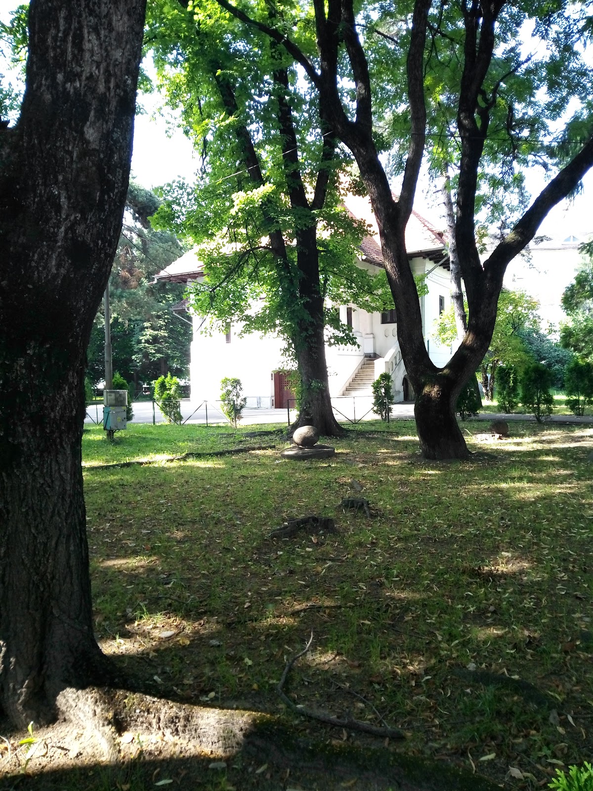 Casa Barbu Gănescu - foto 3
