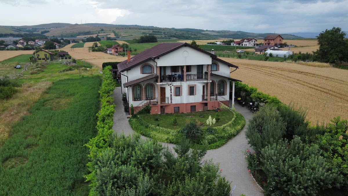 Casa Borza, Pâclişa