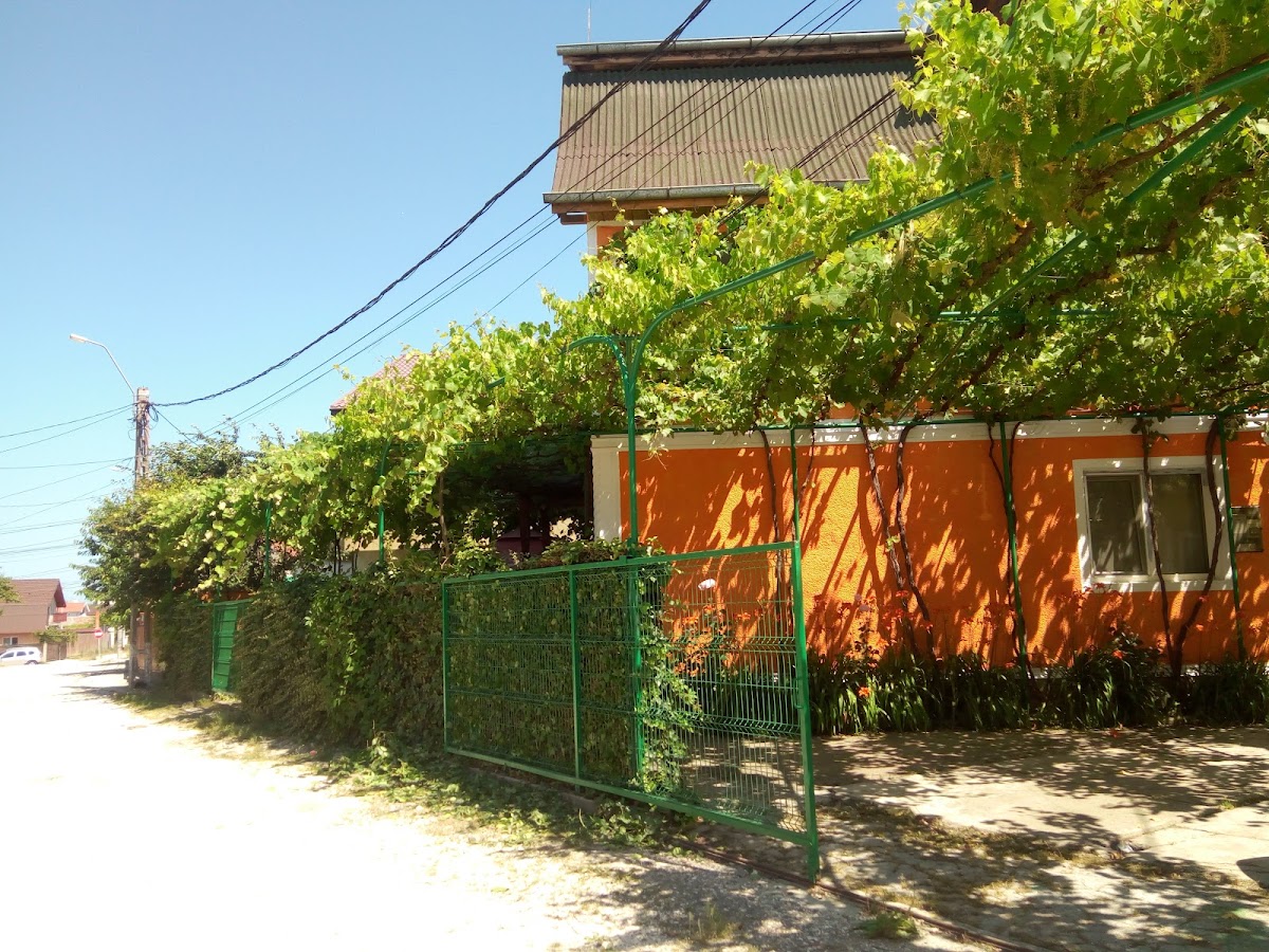 Casa Bota Agigea