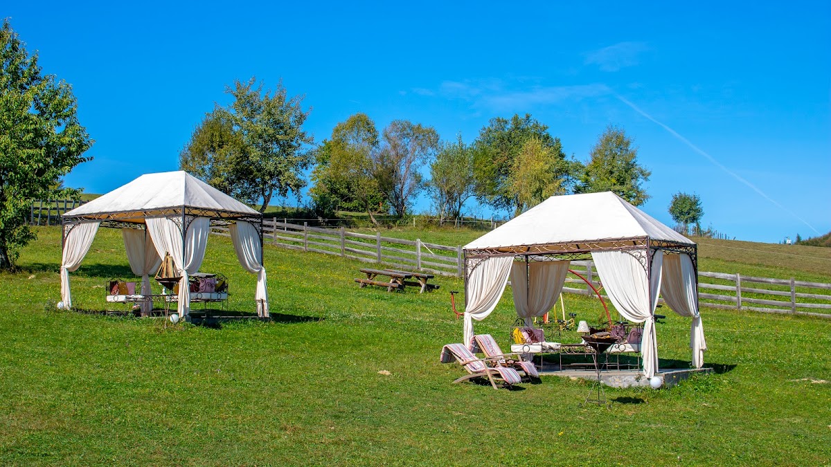 Casa Brădet - foto 4