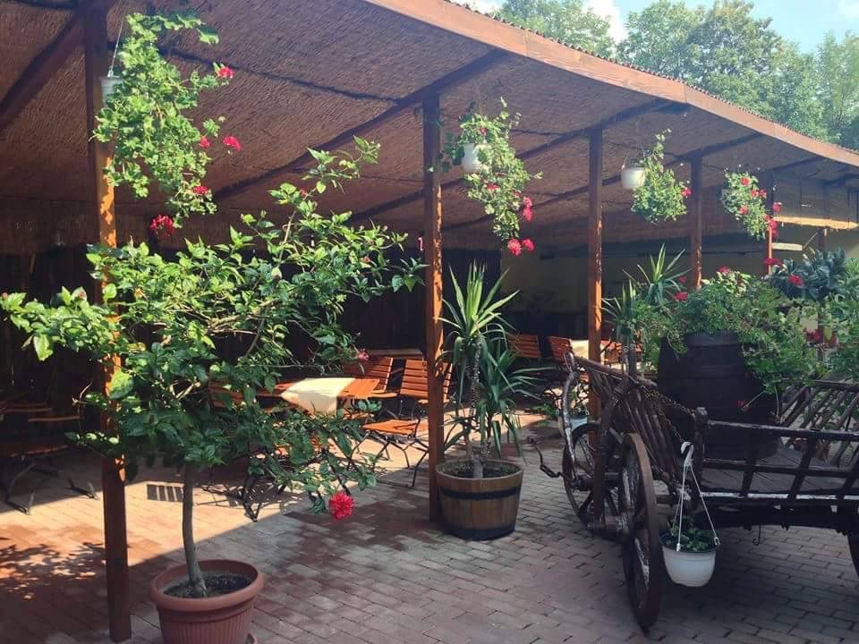 Casa Bucătarului Cornu - foto 5