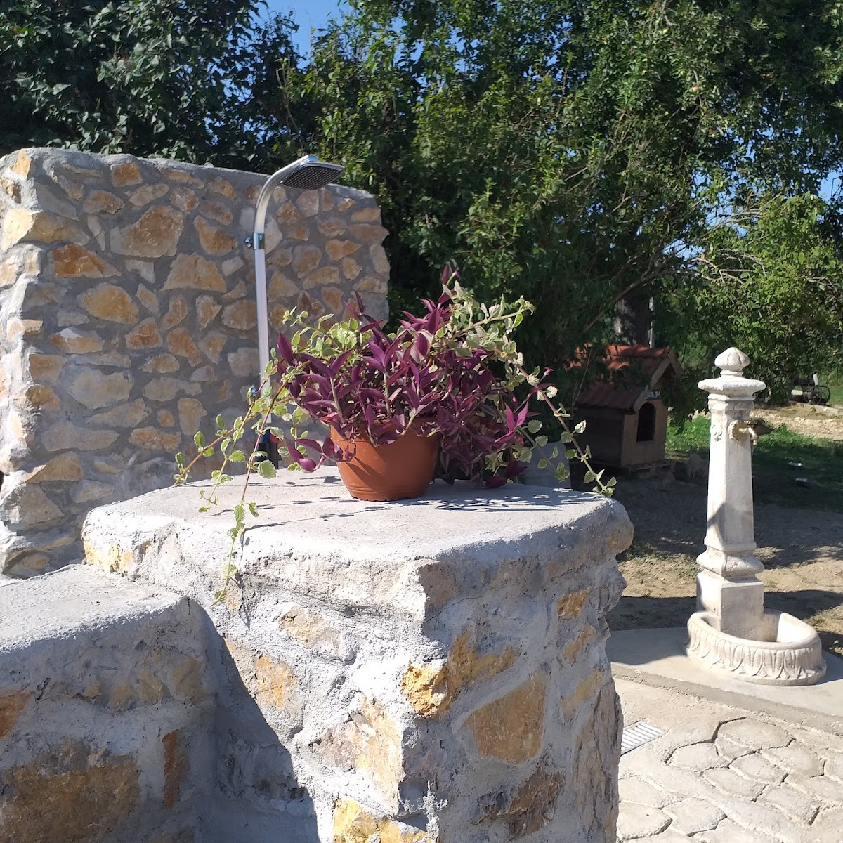 Großmutters Haus Carbunari, Cărbunari