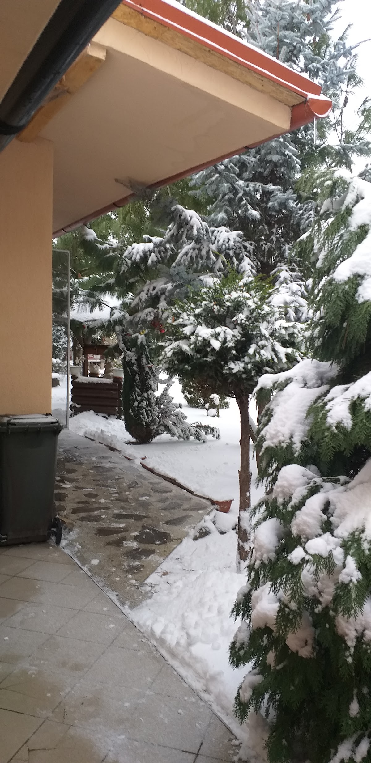 Casa Camelia Sanmartim
