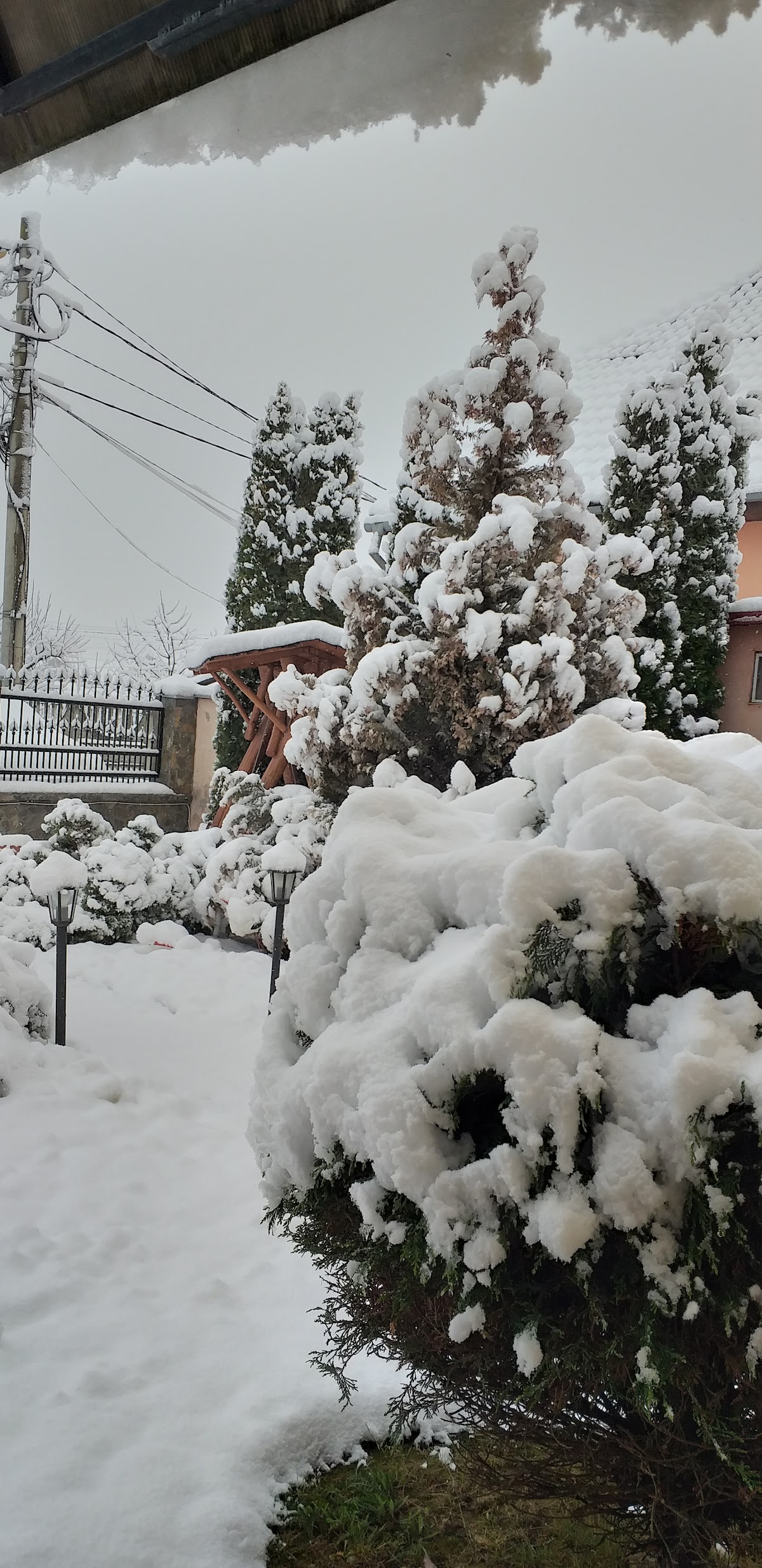 Casa Camelia Sanmartim