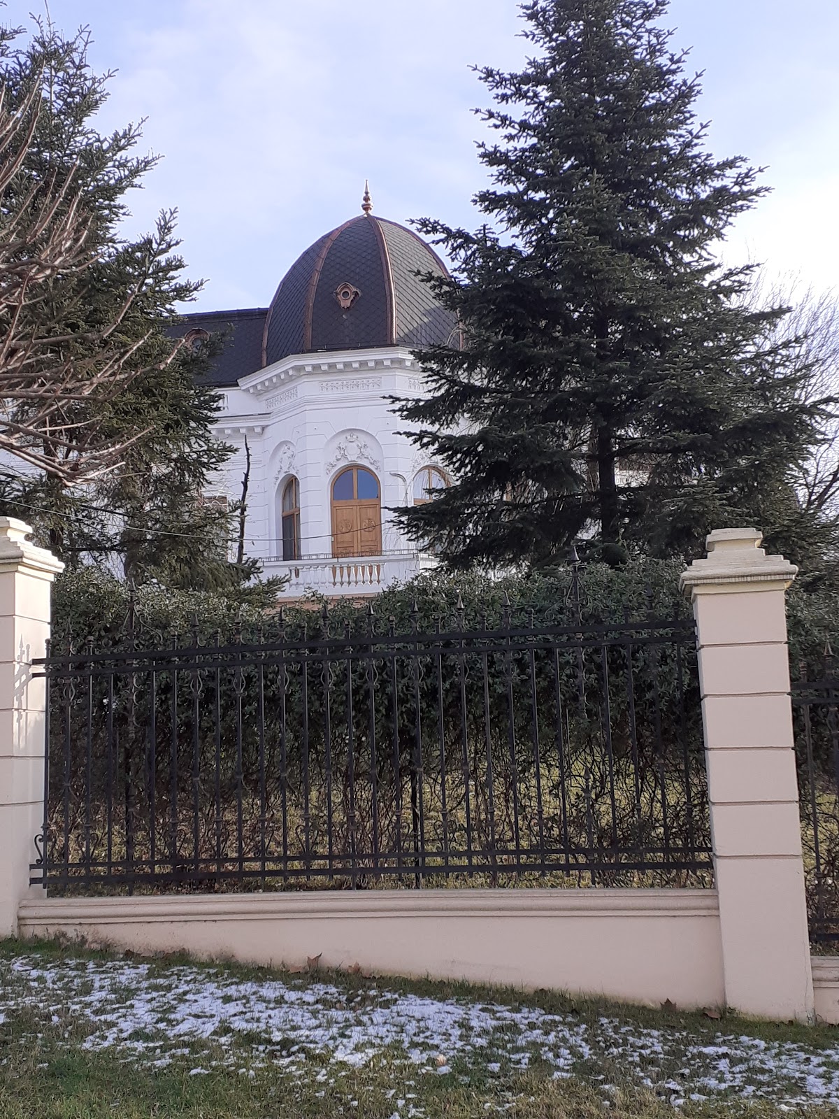Casa Caracostea