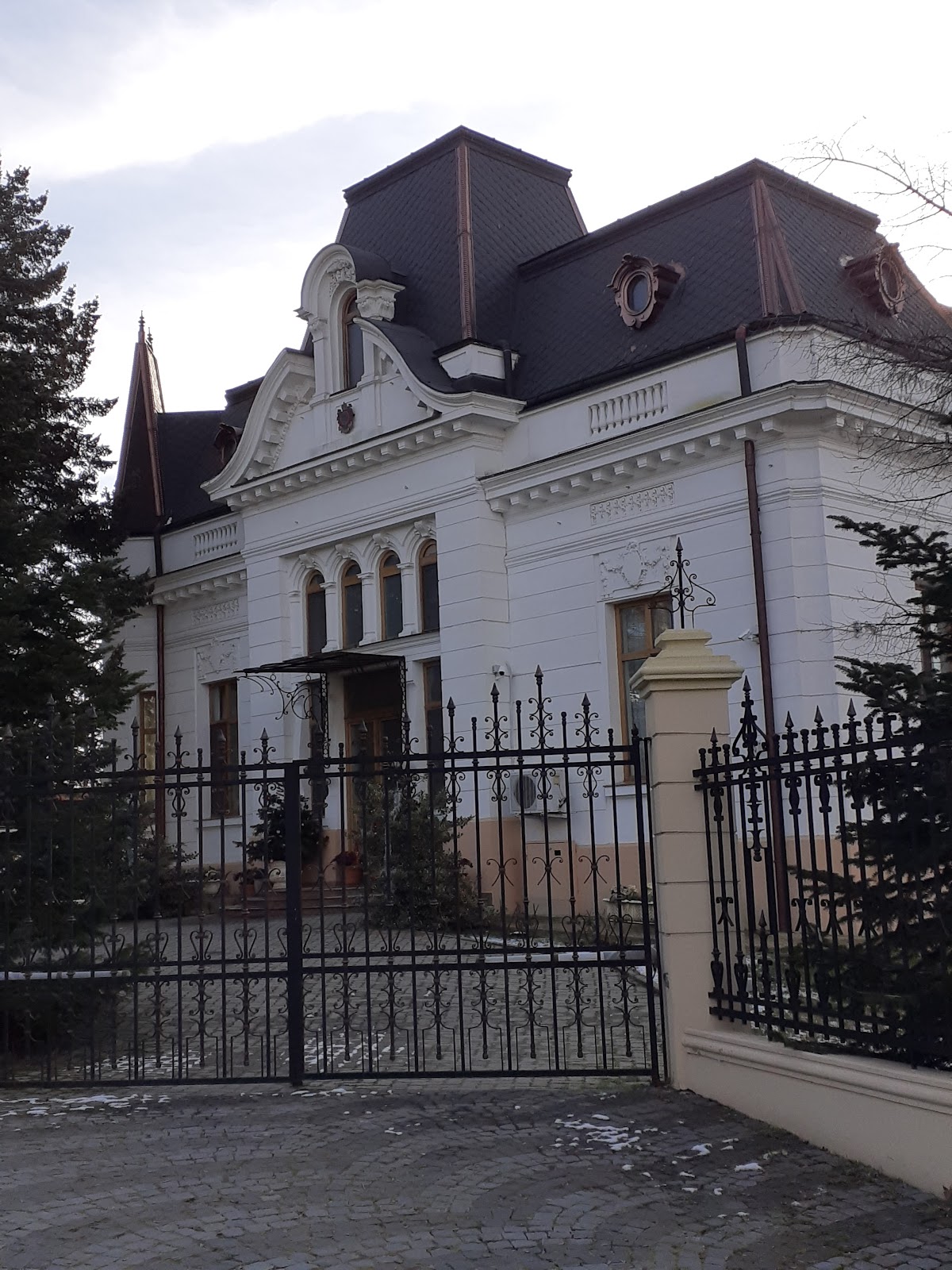 Casa Caracostea - foto 3